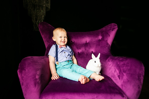Bunnies 2019-39