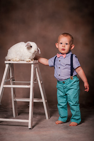 Bunnies 2019