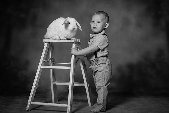xBunnies 2019-5