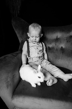xBunnies 2019-18