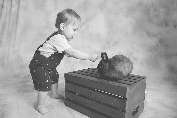 Toby-Bunny-2016-54