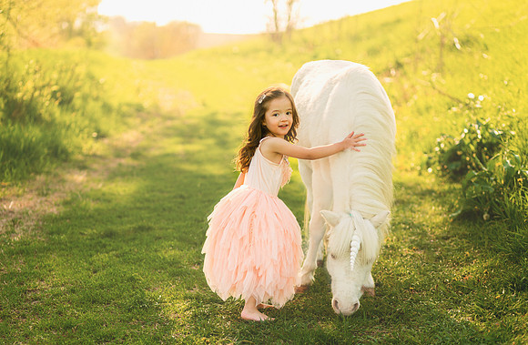 Unicorn 2019-2