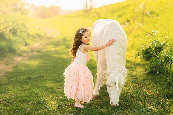 Unicorn 2019-3