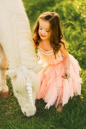 Unicorn 2019-9
