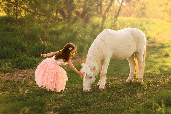 Unicorn 2019-11