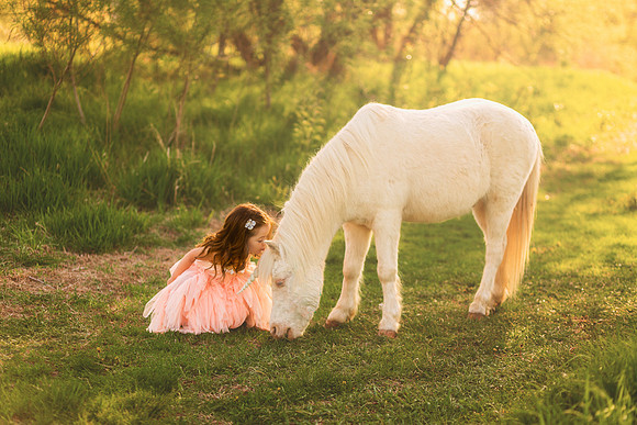 Unicorn 2019-12