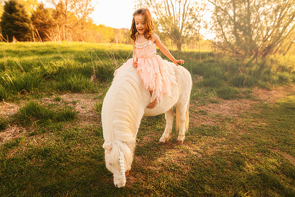 Unicorn 2019-13