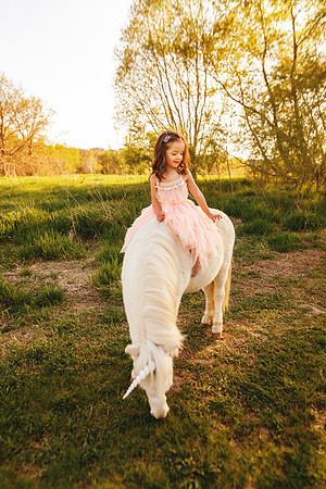 Unicorn 2019-15