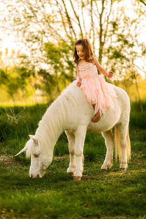 Unicorn 2019-16
