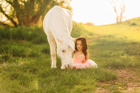 Unicorn 2019-24
