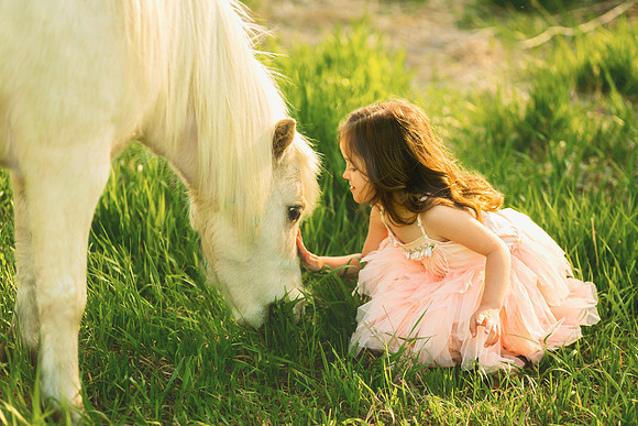 Unicorn 2019-25
