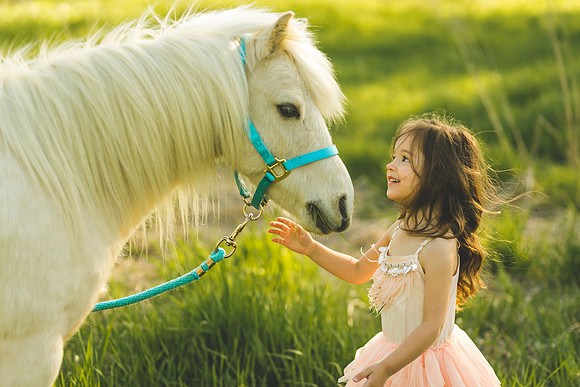 Unicorn 2019-26