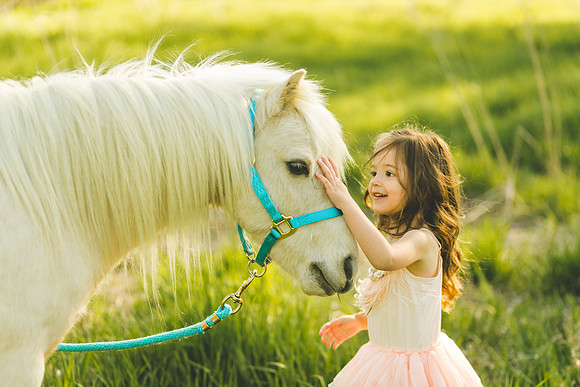 Unicorn 2019-27