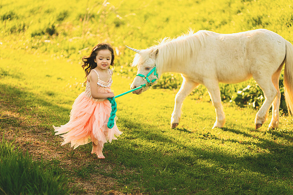 Unicorn 2019-32
