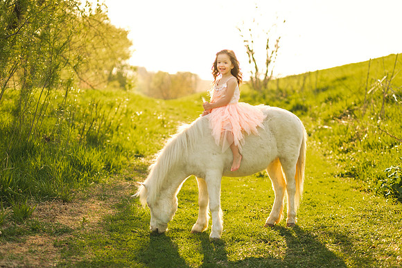Unicorn 2019-38