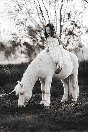 xUnicorn 2019-16