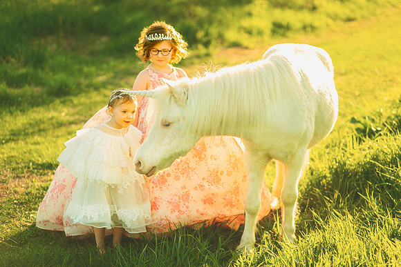 Unicorn 2019-23