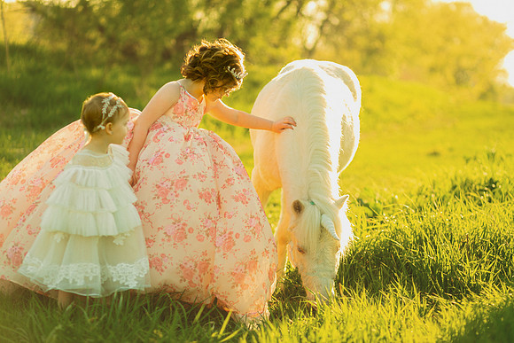 Unicorn 2019-24