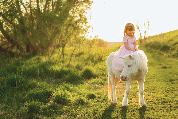 Unicorn 2019-21