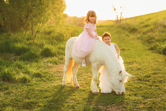 Unicorn 2019-22