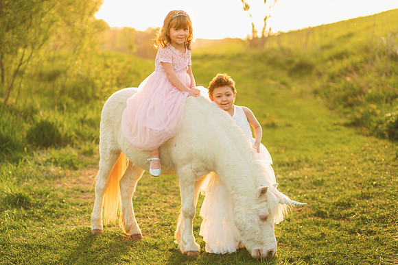Unicorn 2019-23