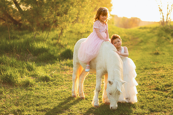 Unicorn 2019-24