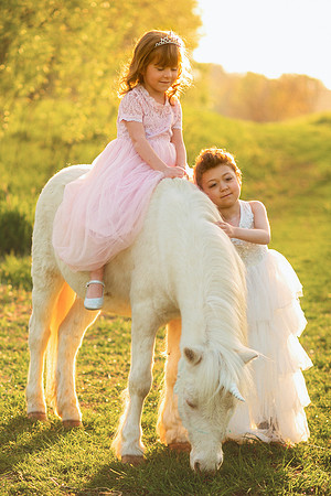Unicorn 2019-25