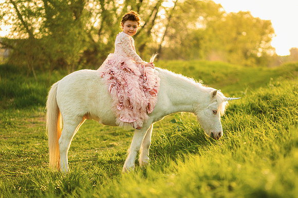 Unicorn 2019-26