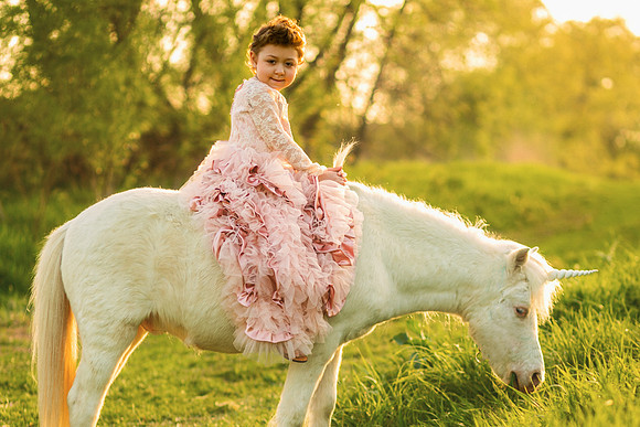 Unicorn 2019-27