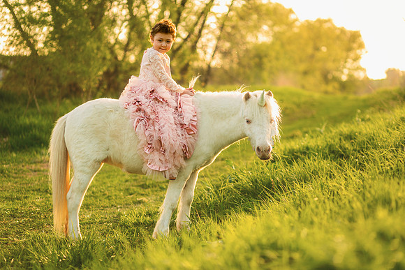 Unicorn 2019-28