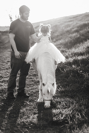 xUnicorn 2019-7