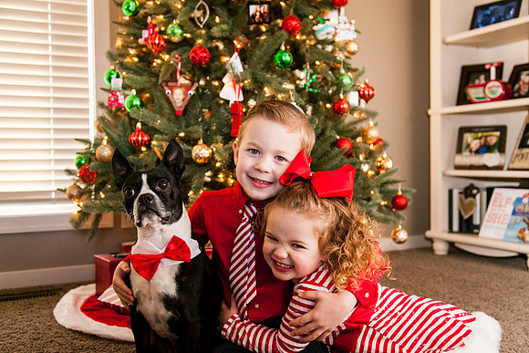 Xmas 2017-11