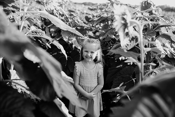 xSunflower 2022-85
