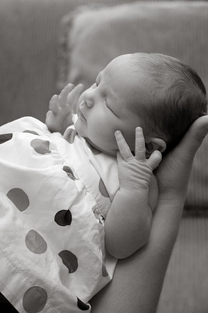 Lenora - Newborn-17