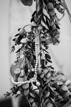 Wedding B&W-49