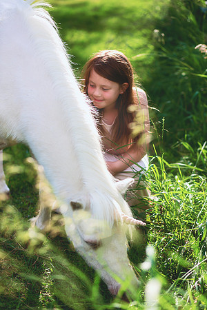 Unicorns-12