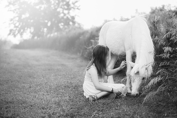 xUnicorns-16