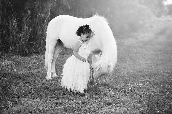 xUnicorns-8
