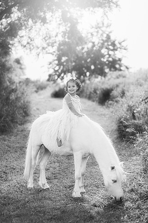 xUnicorns-12