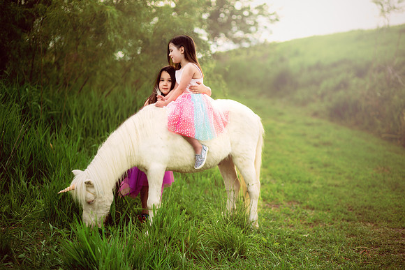 Unicorn 2019-24