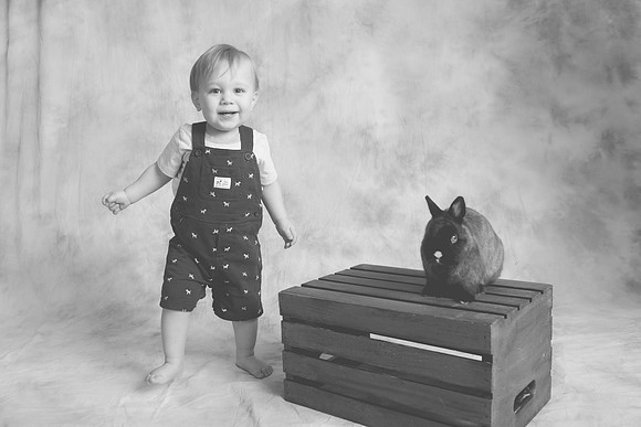 Toby-Bunny-2016-58