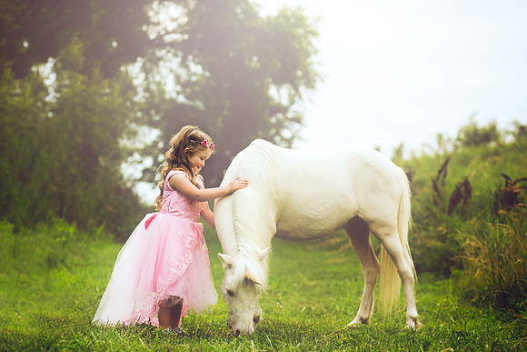 Unicorn-20
