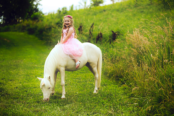 Unicorn-24