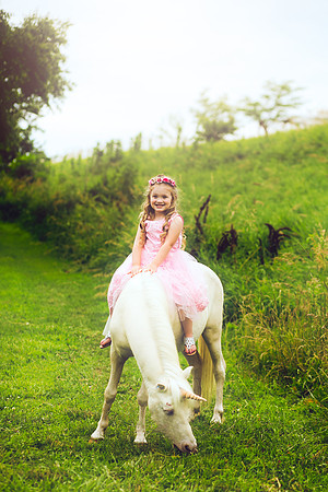 Unicorn-25
