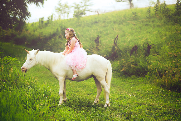 Unicorn-28