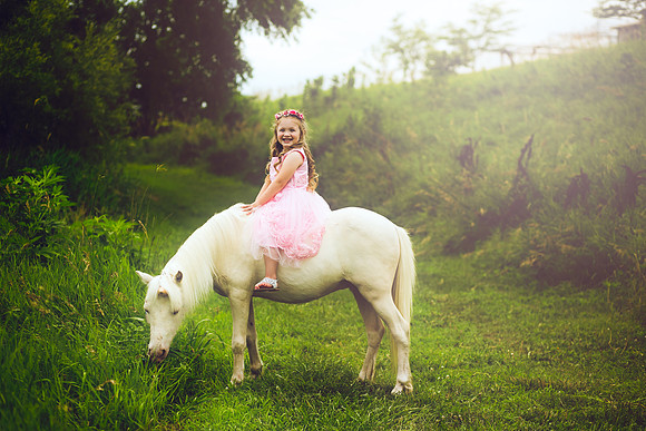 Unicorn-29