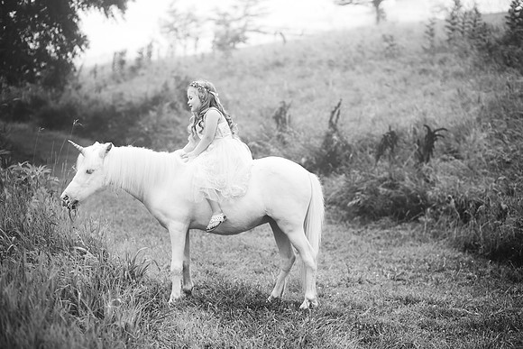 xUnicorn-28