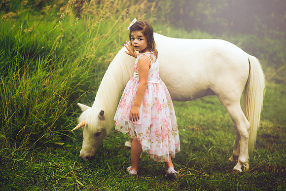 Unicorn