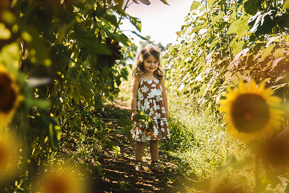 Sunflowers-27