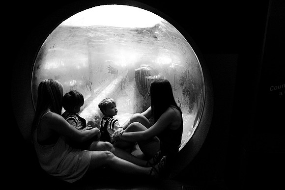 xAunties-129